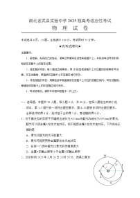 2025届湖北省武昌实验中学高三下学期高考适应性考试物理试卷（解析版）