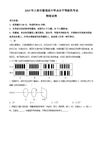 2025年高考真题——物理（上海卷）  无答案