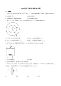 （网络参考版）湖北省2025年高考真题物理试卷+答案