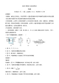 2025届广东省广州市某校高三下学期综合测试（三）物理试题（解析版）