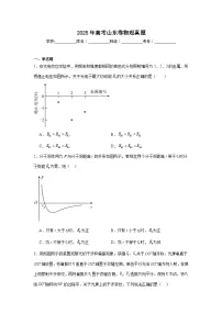 2025年高考山东卷物理真题（附答案解析）