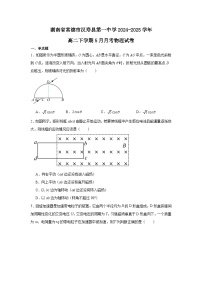 湖南省常德市汉寿县第一中学2024-2025学年高二下学期5月月考物理试题