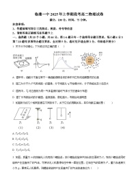 湖南省常德市临澧县第一中学2024-2025学年高二下学期4月期中物理试题
