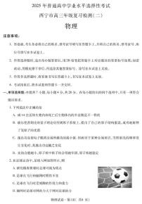 2025届青海省西宁市高三下学期二模物理试卷（高考模拟）