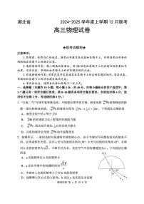 湖北省2024-2025学年高三上学期12月联考物理试卷