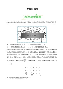 2025年高考物理真题分类汇编专题10 磁场（全国通用）(学生版+解析版）