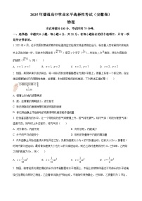 2025年高考安徽卷物理高考真题解析（参考版）