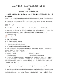 2025年高考安徽卷物理高考真题解析（参考版）