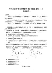 2026届贵州省六校联盟高三高考实用性联考卷（一）物理含答案解析