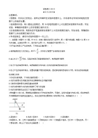 湖北省武汉市2024_2025学年高二物理上学期11月期中检测试卷