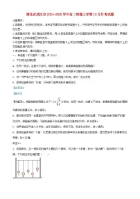 湖北省武汉市2024_2025学年高二物理上学期10月月考试题含解析