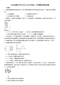 河北省衡水中学2024-2025学年高二上学期期末物理试题