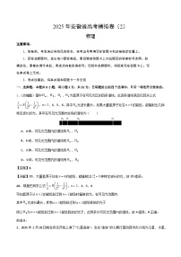 2025年安徽省高考模拟卷物理试题02（解析版）