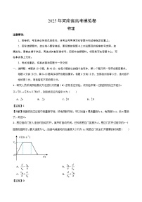 2025年河南省高考模拟卷物理试题（解析版）