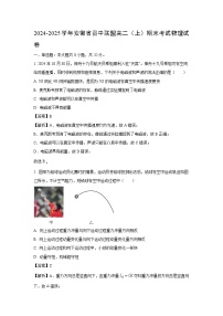 【物理】安徽省县中联盟2024-2025学年高二上学期期末考试试卷（解析版）