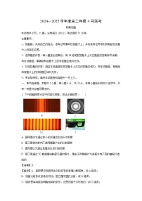 【物理】广东省部分学校2024-2025学年高二下学期期中联考试题（解析版）