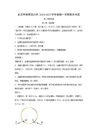 【物理】湖北省武汉市常青联合体2024-2025学年高二上学期1月期末考试试卷（解析版）