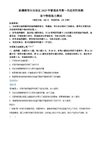 2025届新疆维吾尔自治区高三下学期第一次适应性检测物理试题（解析版）