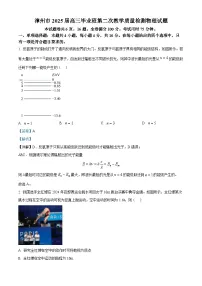 2024-2025学年福建省漳州市高三上学期毕业班第二次教学质量检测（期末）物理试题（解析版）