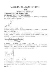 2025年普通高中学业水平选择性考试（河北卷）高考物理真题含答案