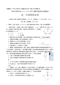 四川省绵阳外国语学校2024-2025学年高一下学期期末模拟考试物理试卷