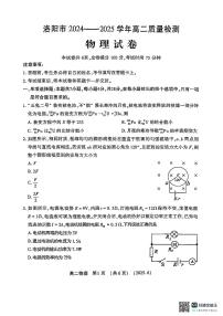 河南省洛阳市2024-2025学年高二下学期期末质量检测 物理试题（含答案）