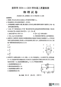 河南省洛阳市2024-2025学年高二下学期期末质量检测 物理试题（含答案）