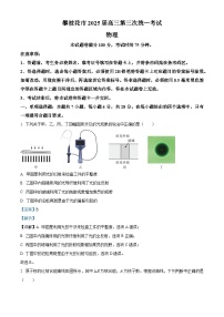 四川省攀枝花市2025届高三下学期三模物理试卷（Word版附解析）