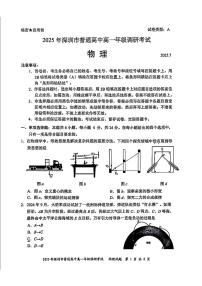 广东省深圳市2024-2025学年高一下学期期末考试物理试题（含答案）