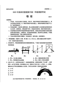 广东省深圳市2024-2025学年高一下学期期末考试物理试题（含答案）