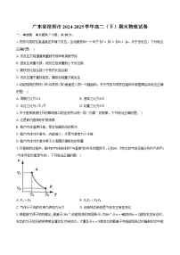 广东省深圳市2024-2025学年高二（下）期末物理试卷