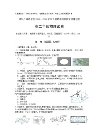 四川省绵阳外国语学校2024-2025学年高二下学期期末模拟考试物理试卷（Word版附解析）