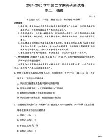 广东深圳2024-2025学年高二下学期7月期末物理试题（含答案）
