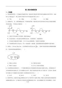 湖南长沙大学附属中学2025年高二下学期7月期末物理试题（含答案）