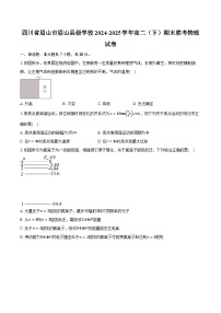 四川省眉山市眉山县级学校2024-2025学年高二（下）期末联考物理试卷