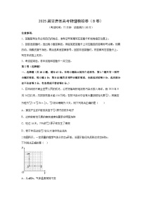 【物理】2025届甘肃省天水市麦积区新梦想高考复读学校高三下学期模拟预测试题（B卷）