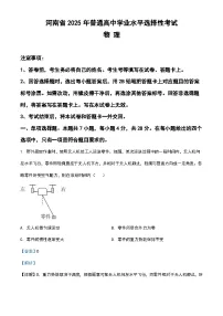 2025年高考真题物理河南卷（含解析）