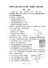 广东省惠州市2024-2025学年高一下学期期末质量检测物理试题（含答案）
