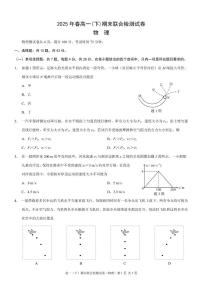 重庆市部分学校2024-2025学年高一下学期7月期末联合检测物理试卷（PDF版附解析）