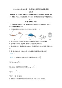 【物理】山东省枣庄市2024-2025学年高一下学期期中质量检测试卷（解析版）