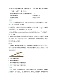 【物理】湖北省黄冈市2024-2025学年高一下学期期末考试试卷（解析版）