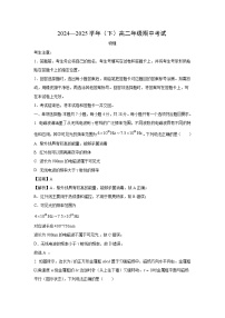 河南省天一联考2024-2025学年高二下学期4月期中物理试卷（解析版）