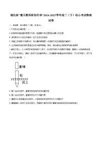 湖北省_楚天教科研协作体_2024-2025学年高二（下）收心考试物理试卷【含答案】