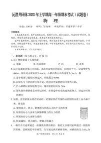 湖南省沅澧共同体2024-2025学年高一下学期期末考试物理试题（PDF版，含解析）含答案解析