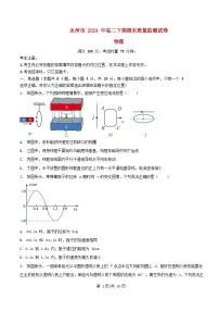 湖南省永州市2024_2025学年高二物理上学期期末质量监测试卷