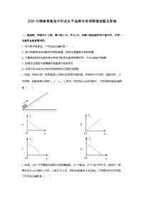 2025年6月湖南普通高中学业水平选择性考试物理试题[原卷]附答案