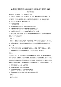 【物理】湖北省武汉市常青联合体2024-2025学年高二下学期4月期中考试试卷（解析版）