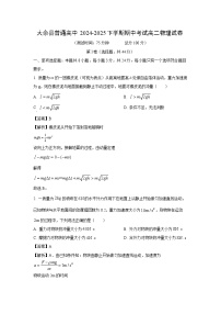 江西省赣州市大余县部分学校联考2024-2025学年高二下学期4月期中 (1)物理试卷（解析版）