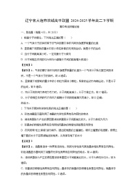 辽宁省大连市滨城高中联盟2024-2025学年高二下学期中考试物理试卷（解析版）