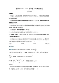 河南省南阳市新未来联考2024-2025学年高一下学期6月期末物理试卷（解析版）